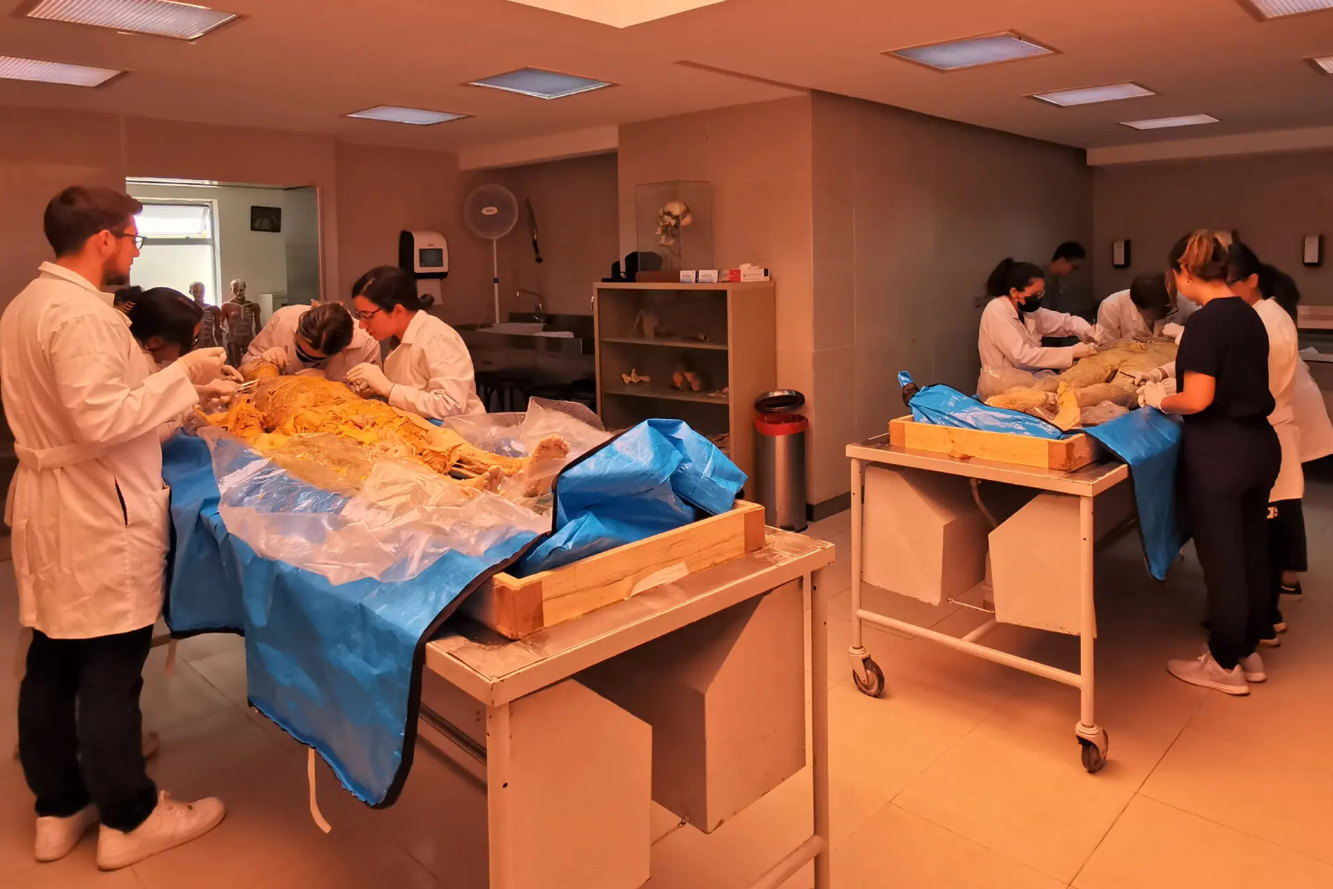 UFM MEDICINA LABORATORIO DISECCIÓN-MED